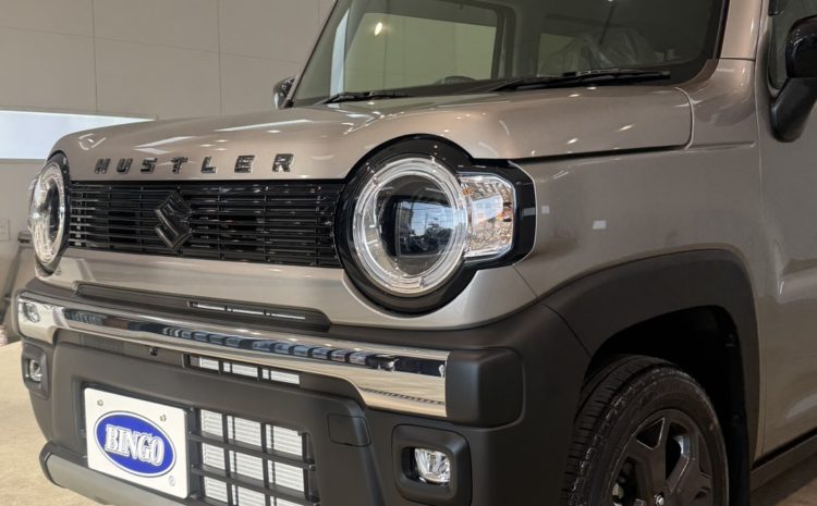 スズキ　ハスラー/ハイガラスコート