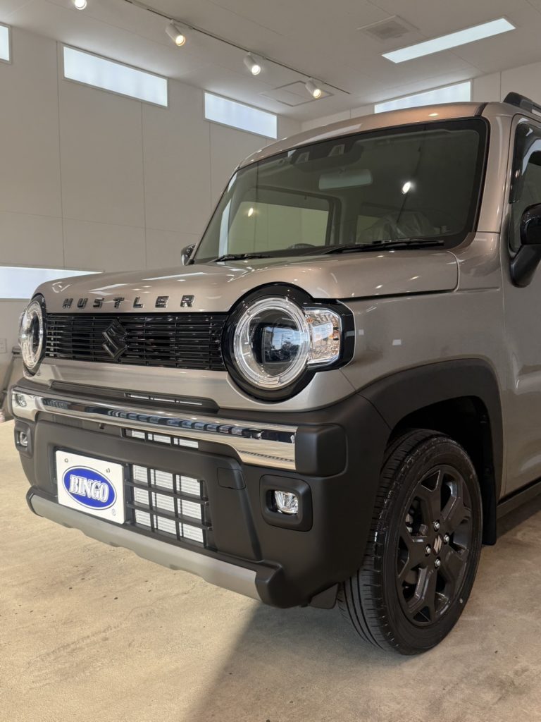 スズキ　ハスラー/ハイガラスコート